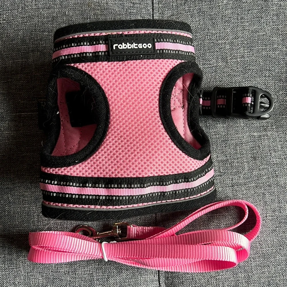 Rabbitgoo and Supet bundle! Small Cat and Dog harness set